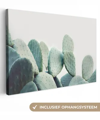 Obrázek produktu pro OneMillionCanvasses® Malba na plátně Nástěnná malba na plátně - Kaktus - zelený - rostlina - příroda - 150x100cm