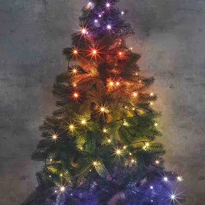 Produktbild von LED Lichterkette mit 100 multicolor