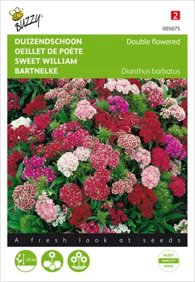 Produktbild von Bartnelke Niedrige Gefüllte Mischung | Bartnelkensamen von Buzzy Seeds