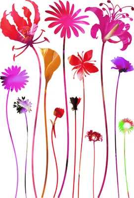 Produktbild von Sanders & Sanders Wandtattoo Blumen Rosa, Violett und Grün 65 x 42.5 cm