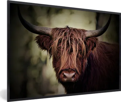Produktbild von MuchoWow® Gerahmtes Poster Schottischer Hochländer - Licht - Porträt - Natur 30x20 cm - Poster mit Schwarzem Bilderrahmen Wandposter Rahmen Foto Bilder - Kunstdruck - Bild-Poster