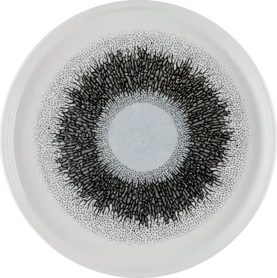 Produktbild von Churchill Studio Prints Fusion Platten mit schwarzen Wänden, 210 mm, (6 Stück)