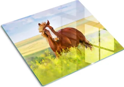 Produktbild von Tulup Glas Herdabdeckplatte Glaskeramikkochfeld-Abdeckung Spritzschutz Glasabdeckplatte Kochplattenabdeckung und Schneidebrett - Einteilig - 60x52 cm Braunes Pferd