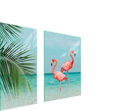 Produktbild von Glasschutzplatte 75X52 Flamingo