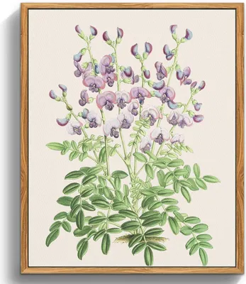 Produktbild von MHARTK66 Botanische Leinwandbilder mit Holzrahmen 20x25cm Wohnzimmer Badezimmer Büro Schlafzimmer Vintage Aesthetic