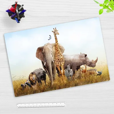 Produktbild von Schreibtischunterlage für Kinder und Erwachsene - Tiere-Afrika - 60 x 40 cm - premium Vinyl -  Germany