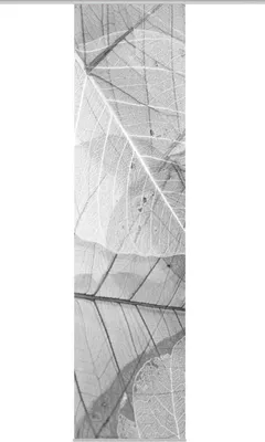 Produktbild von Home Wohnideen Schiebevorhang Dekostoff Digitaldruck Blattari 084365-0307 H x B 245 x 60 cm Grau