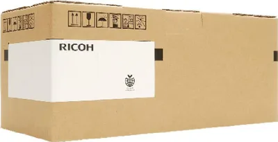Obrázok produktu pre Ricoh XL – čierna – originálna – atramentová kazeta