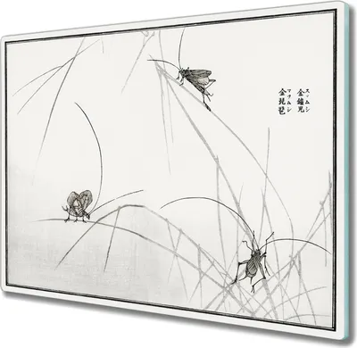 Produktbild von Coloray Schneidebrett Herdabdeckplatte 60x52 cm Kochplattenabdeckung Hackbrett Küchenbrett - Insekten