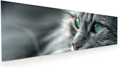 Produktbild von Glasbild 120x40cm in XXL für Wohnzimmer, Schlafzimmer Motiv Nahaufnahme Katze