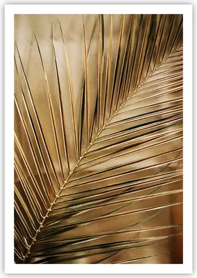 Produktbild von Poster - Poster ohne Rahmen - Blatt Gold Pflanze - 70x100 cm - Wand Bild - Wanddeko - Wandbilder - Kunstposter - Wandposter - Bilder - Kunstdruck - Wanddekoration - Wandbild - P2XPA70x100-5041