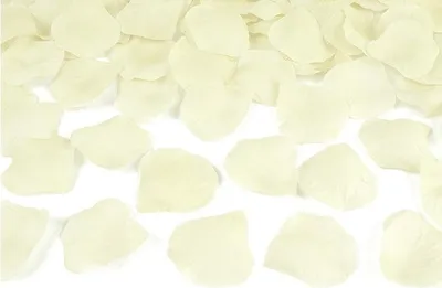 Produktbild von Rosenblätter 100 Stück, creme/ecru