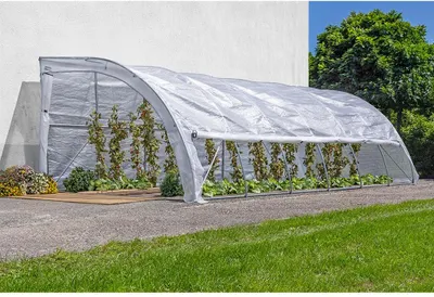 Produktbild von Wintergewächshaus, ca. 600 x 300 x 200 cm
