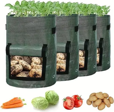 Vier dunkelgrüne Stoff-Kartoffel-Anzuchtbeutel mit Sichtfenstern, die Kartoffeln zeigen, mit Karotten, Kohl, Tomaten und losen Kartoffeln darunter