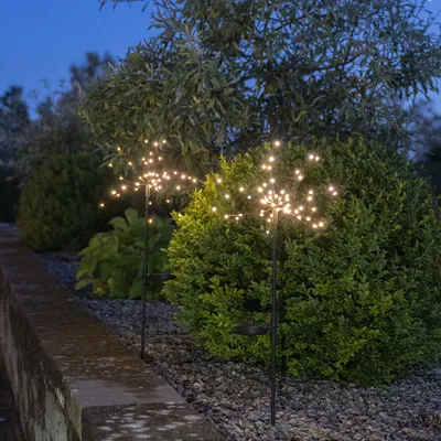 Zdjęcie produktu dla Zestaw 2 dekoracji ogrodowych Led solarnych FIREWORK®