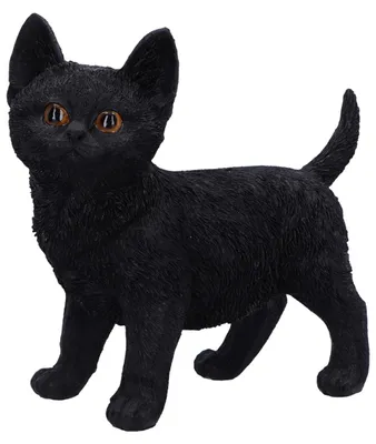 Produktbild von Nemesis Now Dekoartikel Charmed Companion Standard Standard