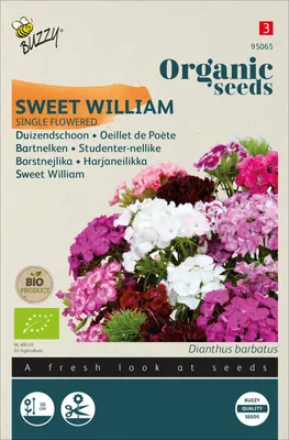 Produktbild von Bartnelken Einfachblühende Mischung | Nelkensamen von Buzzy Seeds