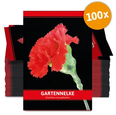 Produktbild von Gartennelke für Werbezwecke (100 Tütchen) | Nelkensamen von FLORTUS