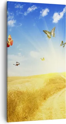 Produktbild von Bild auf Leinwand - Leinwandbild - Schmetterlinge Wiese Gras - 55x100cm - Wand Bild - Wanddeko - Leinwanddruck - Bilder - Kunstdruck - Wanddekoration - Leinwand bilder - Wandkunst - PA55x100-0517