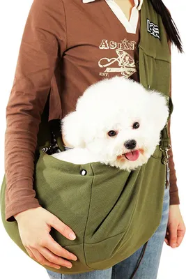 Produktbild von Hundetragetasche Tragetasche Hund Hunde Tragetasche für Kleine Hunde Bis 6.5kg, Farbe: Grün
