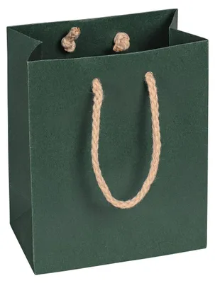 Image de Sacs en papier, couleur verte, dimensions 12 x 15 x 7 cm, avec cordon en coton - lot de 12