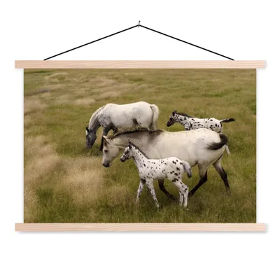 Produktbild von MuchoWow® Textilposter Pferde - Fohlen - Tiere 120x80 cm mit holzfarbenen Rahmen - Aufhängeset