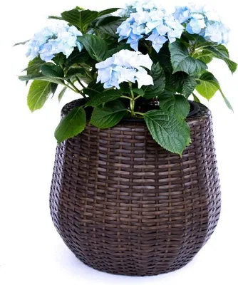 Produktbild von Elegant Einrichten | Pflanzkübel | Polyrattan | rund konisch | D52xH44cm | mocca