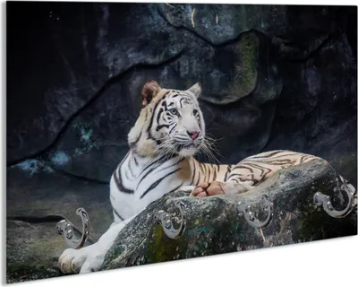 Produktbild von Wallario Schlüsselbrett aus Glas, Motiv: Weißer Tiger auf einem Felsen, 30 x 20 cm mit 4 Haken