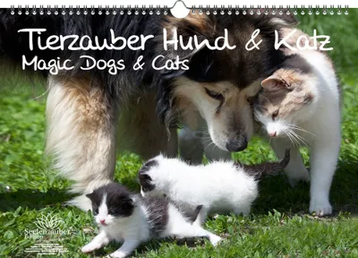 Produktbild von Tierzauber Hund und Katz DIN A3 Kalender - Immerwährender Kalender Haustiere - Seelenzauber