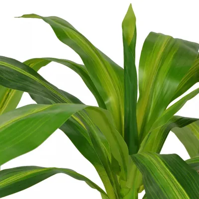 Image de vidaXL Dragonnier artificiel avec pot 100 cm vert