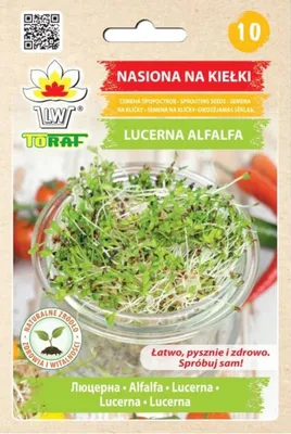 Zdjęcie produktu dla Nasiona na kiełki - lucerna ALFALFA 20g