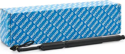 Produktbild von BUGIAD BRD50762 Gasfeder Heckklappendämpfer für BMW X6 (E71, E72)
