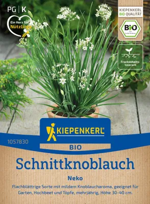 Artikelbild 2 von 'BIO Schnittknoblauch Neko' aus der Kategorie Schnittlauchsamen