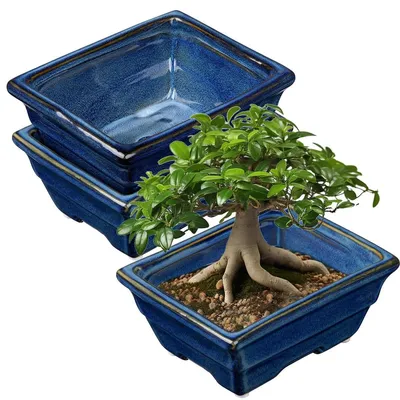 Productafbeelding van Bonsaipot ondiep - Set van 2 - 16 cm - Blauw keramiek