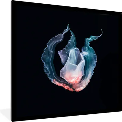Produktbild von MuchoWow® MuchoWow® Gerahmtes Poster Qualle - Blau - Rosa 40x40 cm - Poster mit zchwarzem Bilderrahmen - Mit Rahmen - Wanddekoration Schlafzimmer