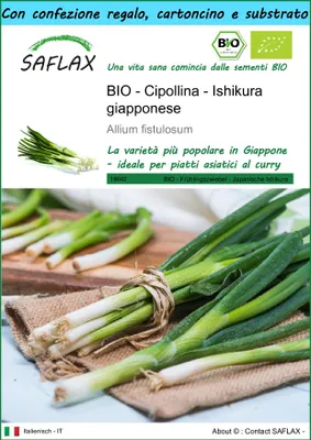 Immagine prodotto di SAFLAX Set regalo -- Cipollina - Ishikura giapponese - 150 semi - Allium
