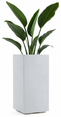 Produktbild von HowHomely Pflanzgefäß auf Rollen Blumenkübel 30x30xH60 cm creme Pflanztopf