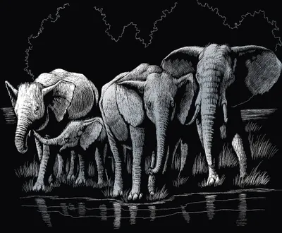 Produktbild von Royal Langnickel Kratzbild Elefanten 25x20 cm Scratch Art Malset Zeichnung