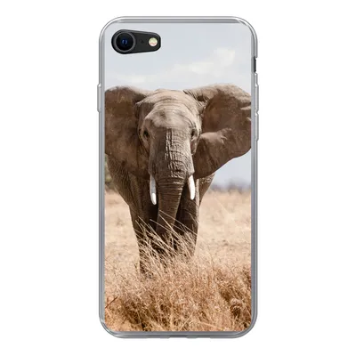 Produktbild von MuchoWow® Handyhülle Schutzhülle Hülle für iPhone SE 2020 Elefant - Natur - Tiere - Porträt Silikon Softcase Handy Hülle - Kartenbesitzer