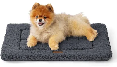 Productafbeelding van Hondenmat, kattenbed, 61x46 cm, donkergrijs, met schuimvulling en Sherpa-pluche