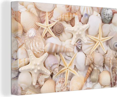 Produktbild von MuchoWow® - Leinwandbilder - Seestern - Muscheln - Strand - Sommer, Wandbild, Wanddeko Bilder Wohnzimmer, 120x80 cm