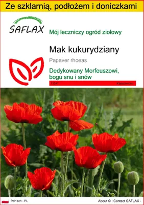 Zdjęcie produktu dla SAFLAX - Zestaw do uprawy - Mak kukurydziany - 27000 Nasiona - Z mini szklarnią, podłożem uprawowym i 2 doniczkami - Papaver rhoeas