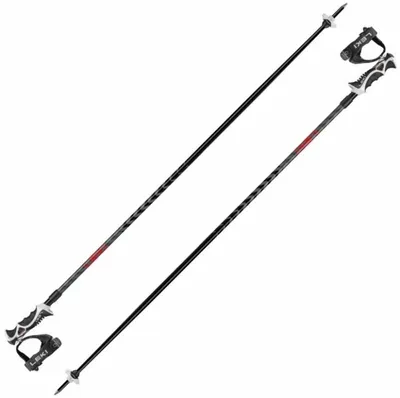 Zdjęcie produktu dla Leki Hot Shot S Eloxal Black/Anodized Grey/Bright Red 125 cm Kijki narciarskie
