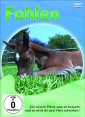 Produktbild von Various-Fohlen