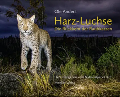 Image de Harz-Luchse Die Rückkehr der Raubkatzen