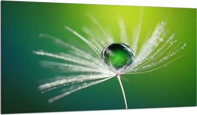 Produktbild von Herdabdeckplatte Glaskeramikkochfeld-Abdeckung Spritzschutz Glas 90x52 Blume