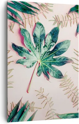 Produktbild von Bild auf Leinwand - Leinwandbild - Einteilig - Blatt Tropisch Palme - 80x120cm - Wand Bild - Wanddeko - Wandbilder - Leinwanddruck - Wanddekoration - Leinwand bilder - Wandbild - PA80x120-4314