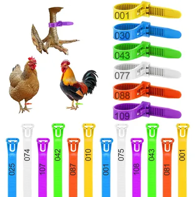 Imagen del producto de Anillos de identificación para aves de corral, 120 unidades, de varios colores, para identificar gallinas, patos y gansos