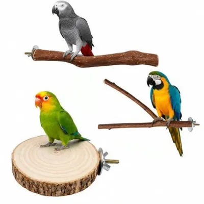 Immagine prodotto di Set di 3 giocattoli per uccelli in legno naturale, con posatoi, adatti per parrocchetti ondulati, parrocchetti neri e canarini