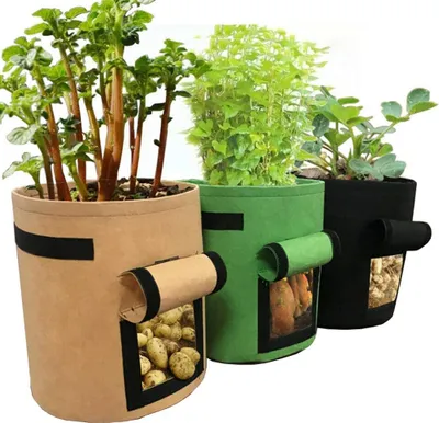 Produktbild von 3 Stück Pflanzen Tasche Pflanzenwuchsbeutel Pflanzsack Stoff visualisiertes Seitenfenster Pflanzgefäßbehälter Töpfe Zuhause Garten für Kartoffel, Tomate, Karotte, Schwarz/Grün/Braun